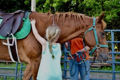 IMG_0541
