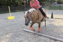 IMG_0831