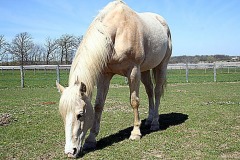 2011_Calibur_0213