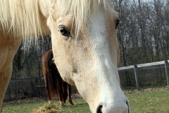 Calibur_0128