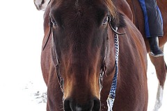 2011_DellRio