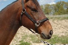 2011_DellRio_DSC_0228