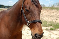 2011_DellRio_DSC_0231