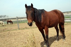 DellRio_0143